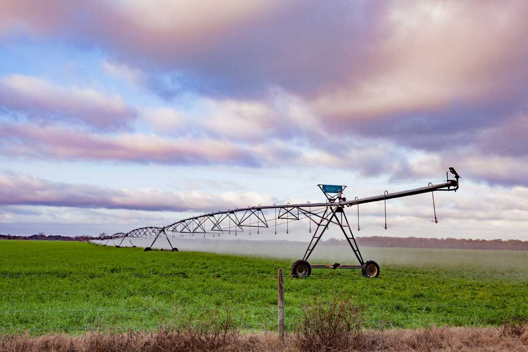 agriculture